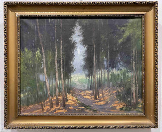 A. Augusta - Lesní cesta