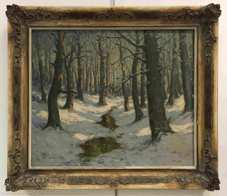 Karel Havlata - Zimní slunko v lese