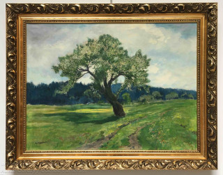 Gustav Macoun - Osamělý strom