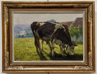 Vojtěch Hynek Popelka - Stračeny