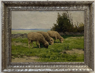 Jaroslav Hynek Popelka - Ovce