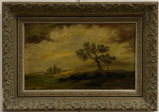 Viktor Rolín - Osamělý strom