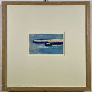 Kamil Lhoták - Dopravní letadlo v letu