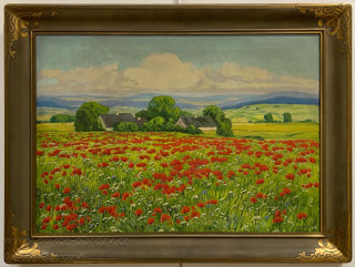 Karel Schadt - Makové pole