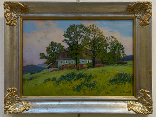 Karel Schadt - Mrzuc