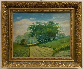 A. Flora - Stromy u cesty