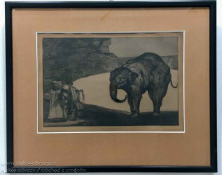 Goya - Slon