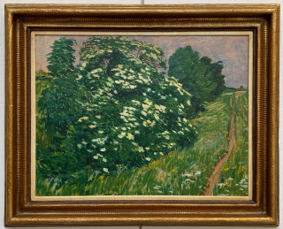 Antonín Hudeček - Bezový keř v květu