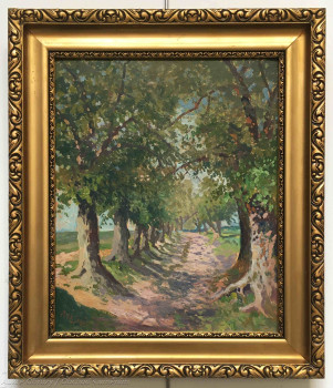 Petr Jaroš - Stromová alej