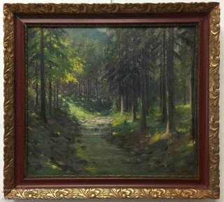 Daněk Sedláček - Slunce v lese